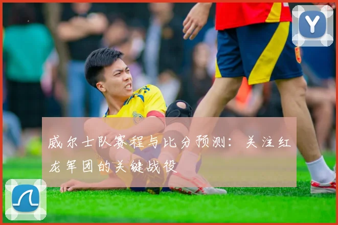 威尔士队赛程与比分预测:关注红龙军团的关键战役