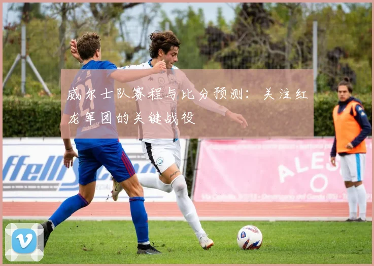 威尔士队赛程与比分预测：关注红龙军团的关键战役